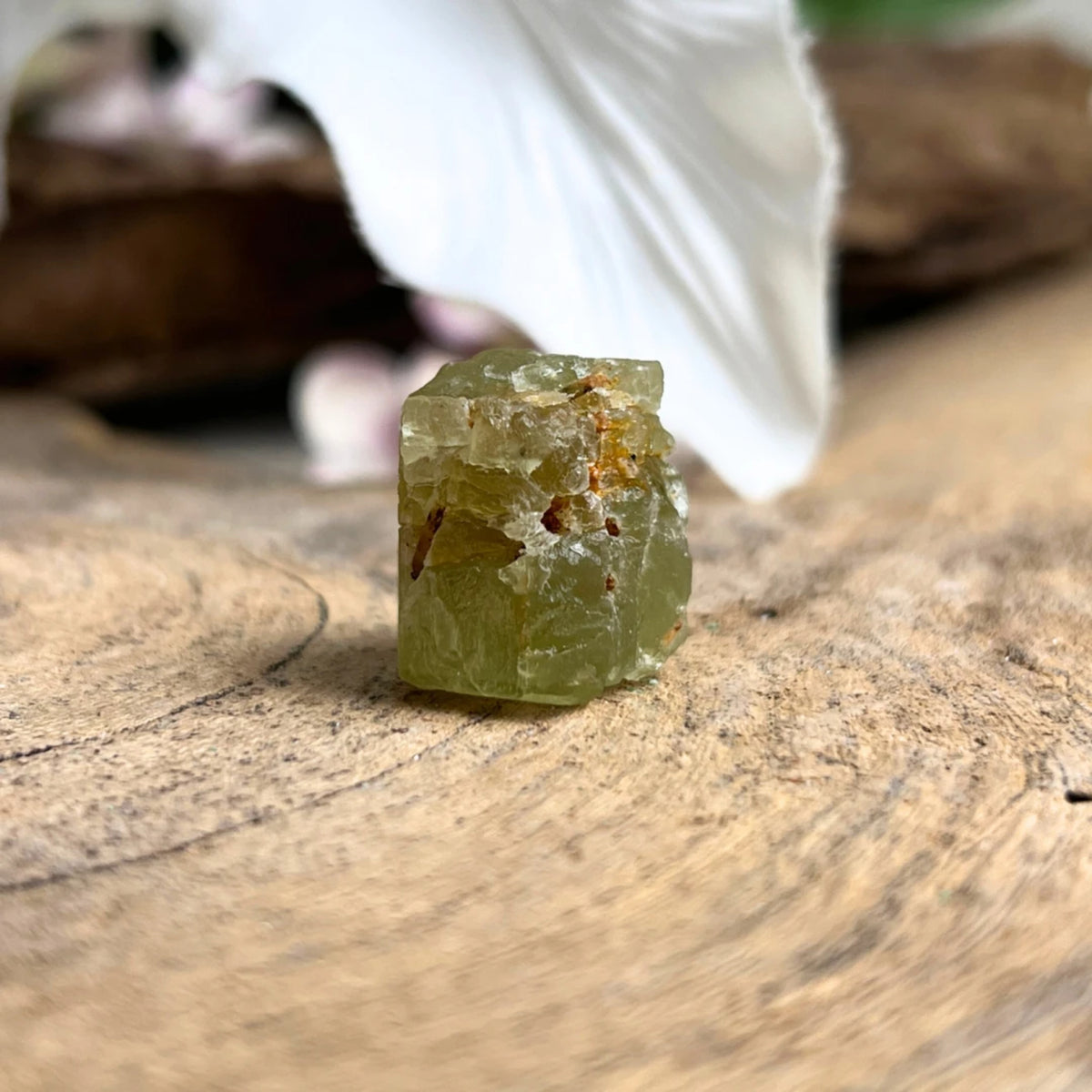 Peridot kristall, rå, AAA-kvalitet, 2 cm, nr 03 (10 g)