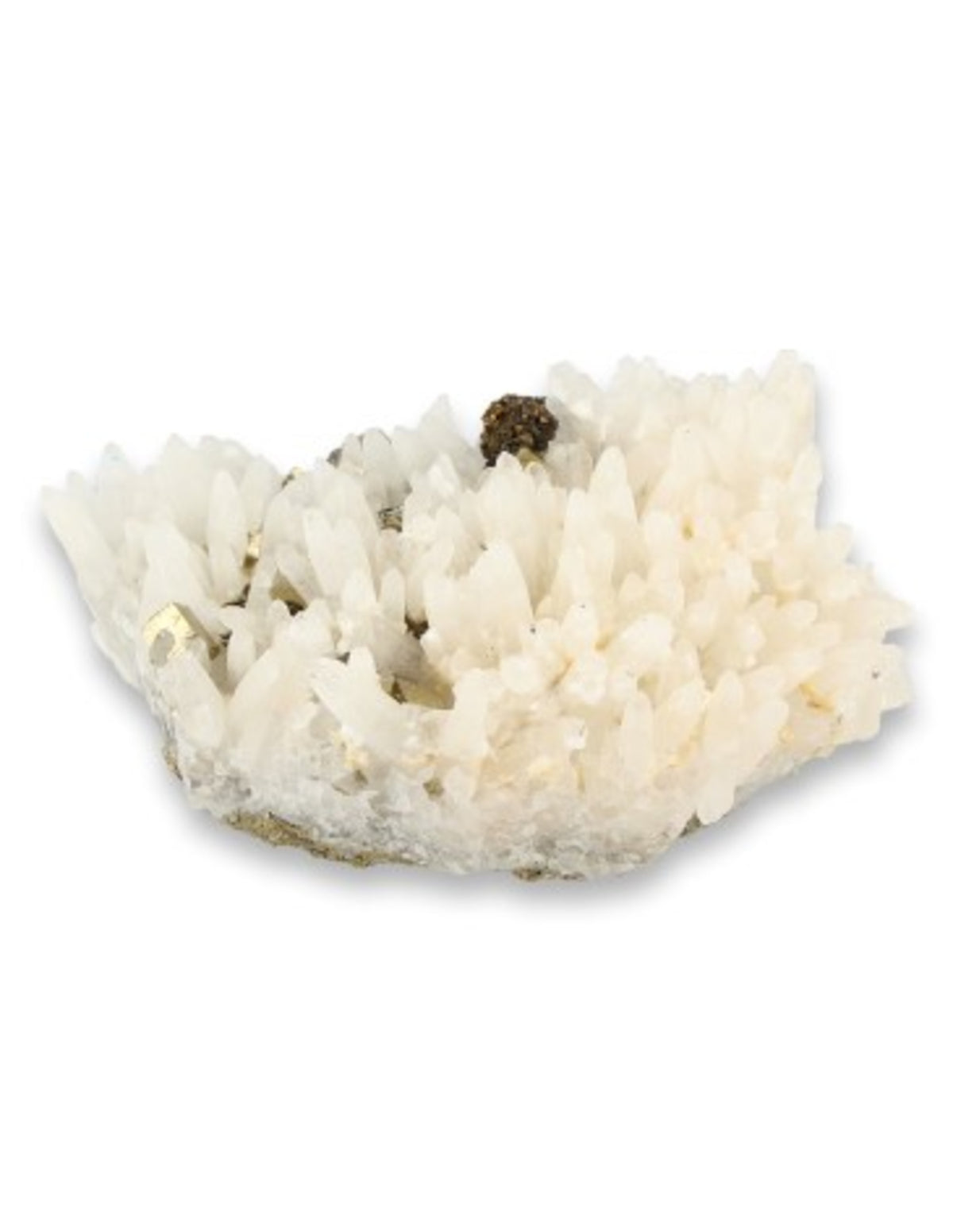 Pyrit mineralprov med kvarts, super A-kvalitet, 8 x 6 cm, nr 2