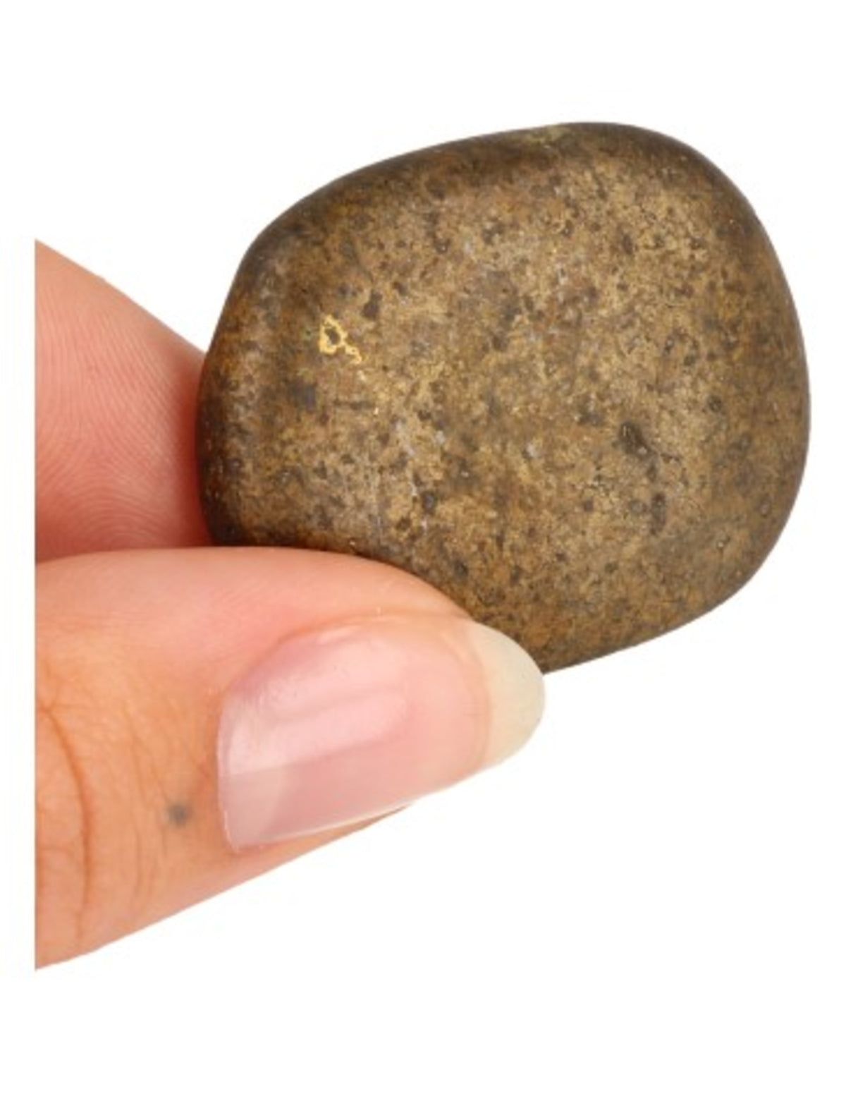 Pyrit ficksten, 3 till 4 cm, Spanien