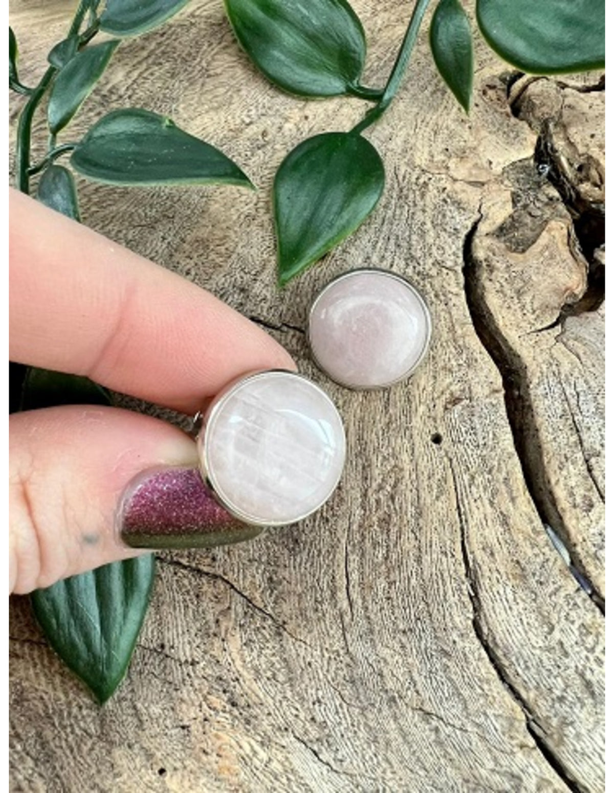 Rosenkvarts clipsörhängen, silverfärgade, 18 mm
