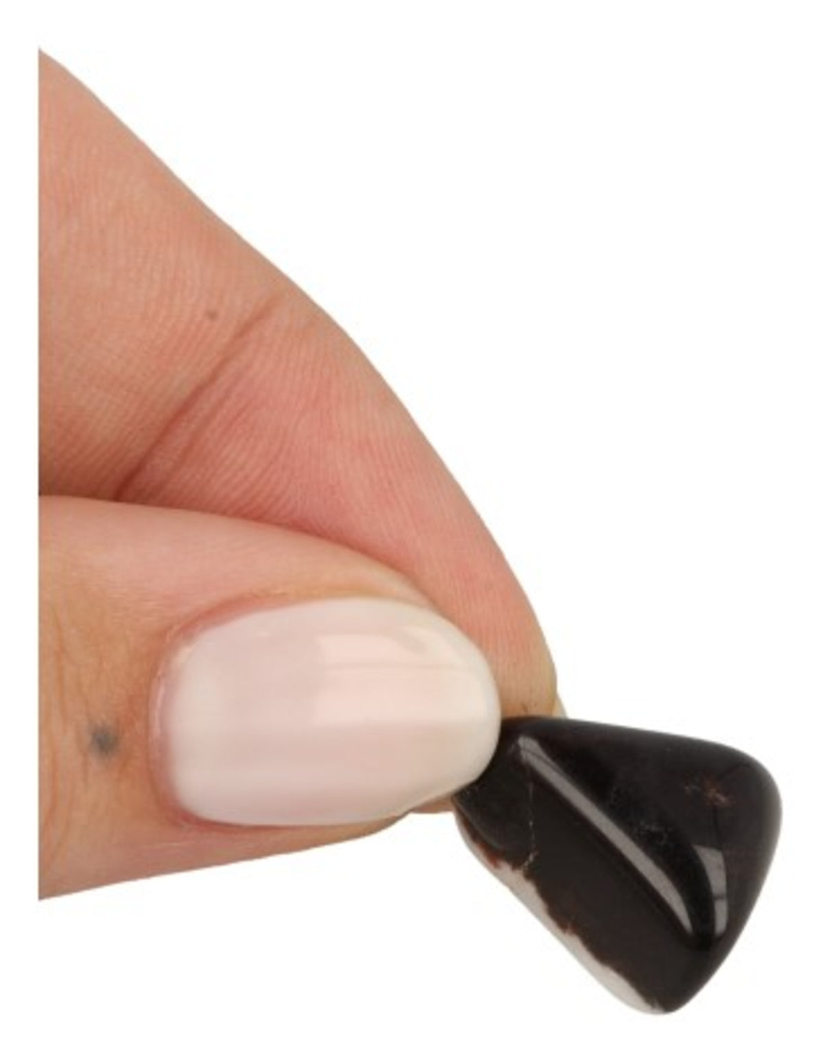 Sardonyx hänge, rödbrun med vita och svarta band, 3 till 4 cm