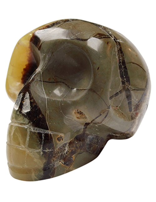 Septarie dödskalle, 9 cm