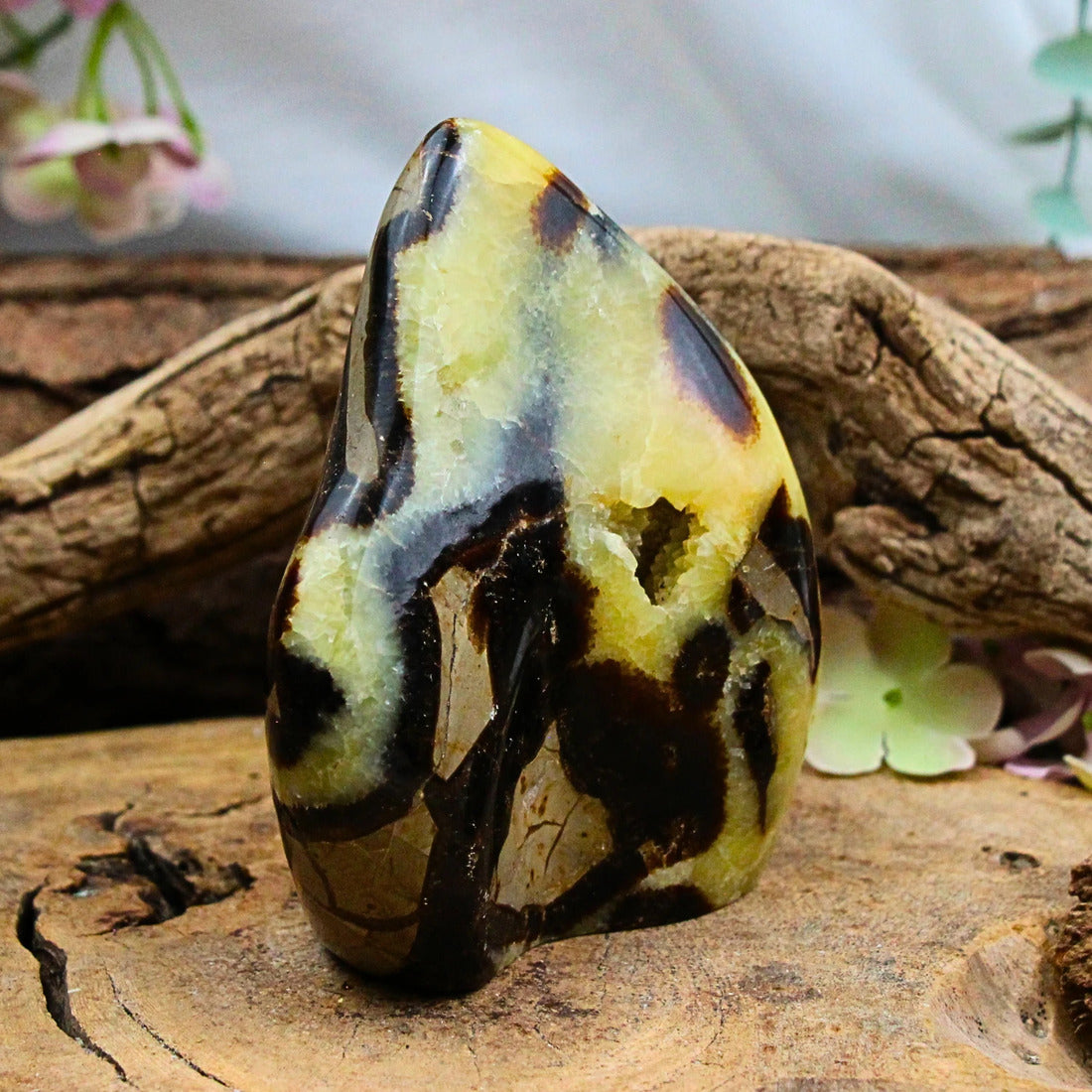 Septarie skulptur, Madagaskar, nr 5 (656 g)