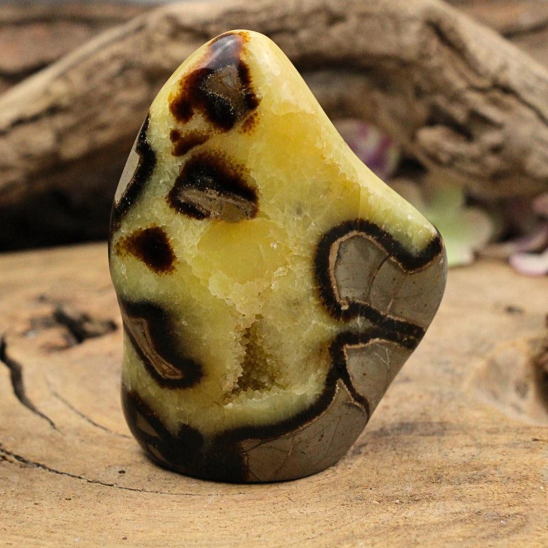 Septarie skulptur, Madagaskar, nr 7 (413 g)