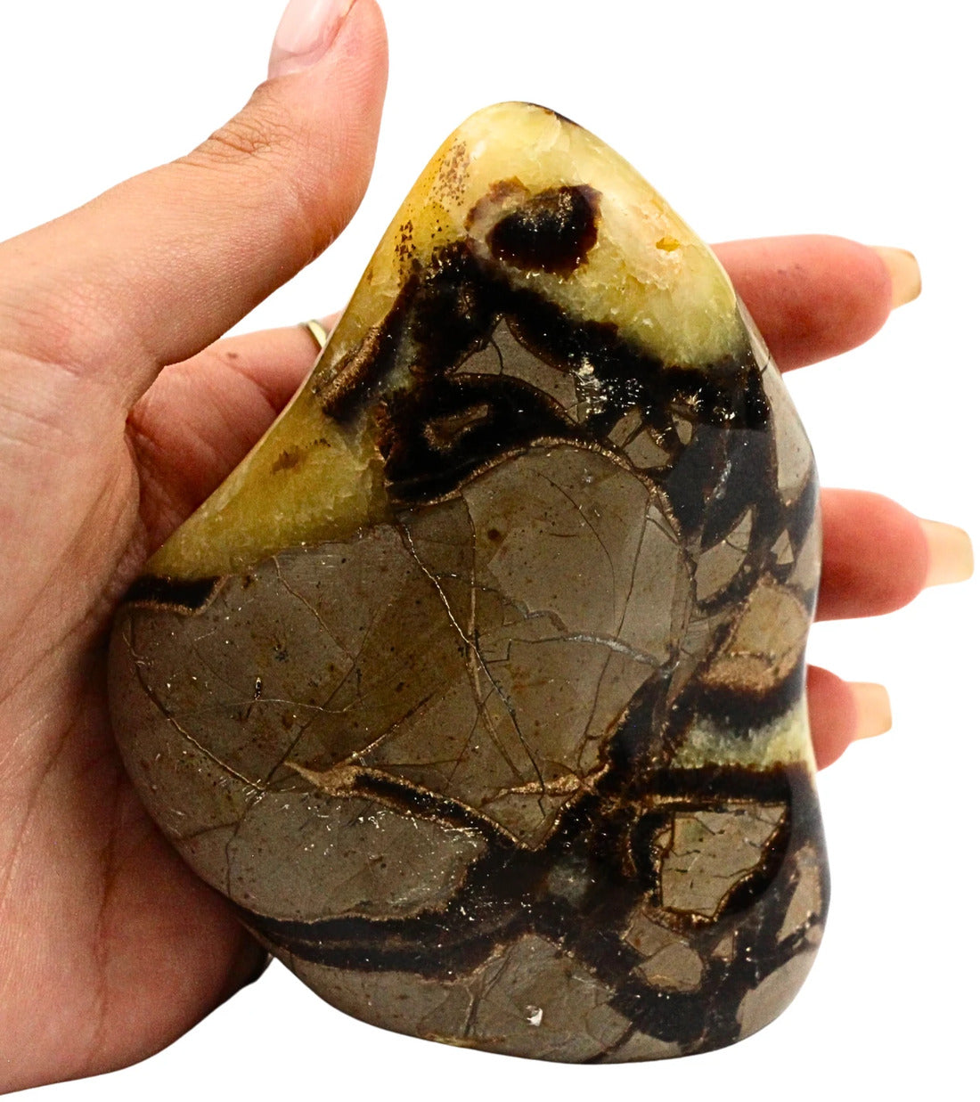 Septarie skulptur, Madagaskar, nr 7 (413 g)