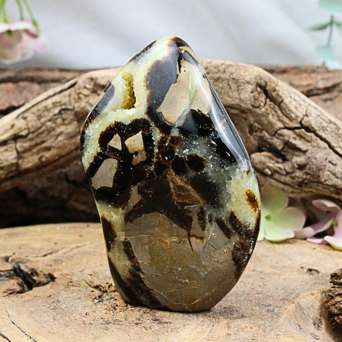 Septarie skulptur, Madagaskar, 10,5 cm, nr 9 (500 g)