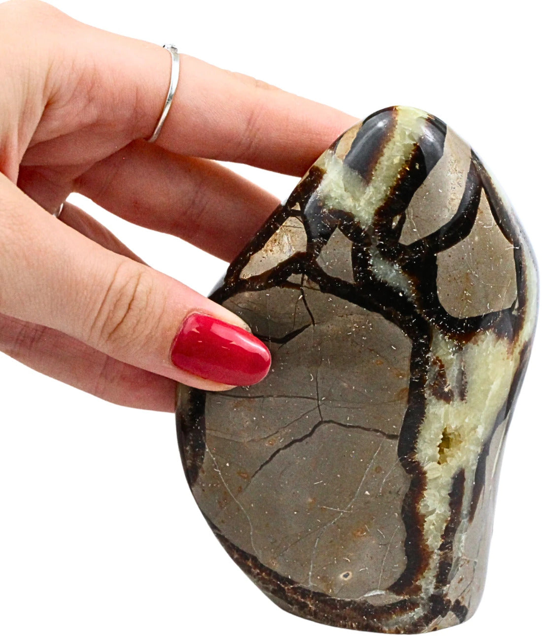 Septarie skulptur, Madagaskar, 10,5 cm, nr 9 (500 g)