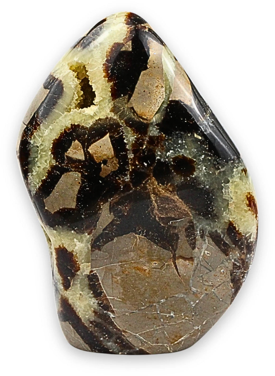 Septarie skulptur, Madagaskar, 10,5 cm, nr 9 (500 g)