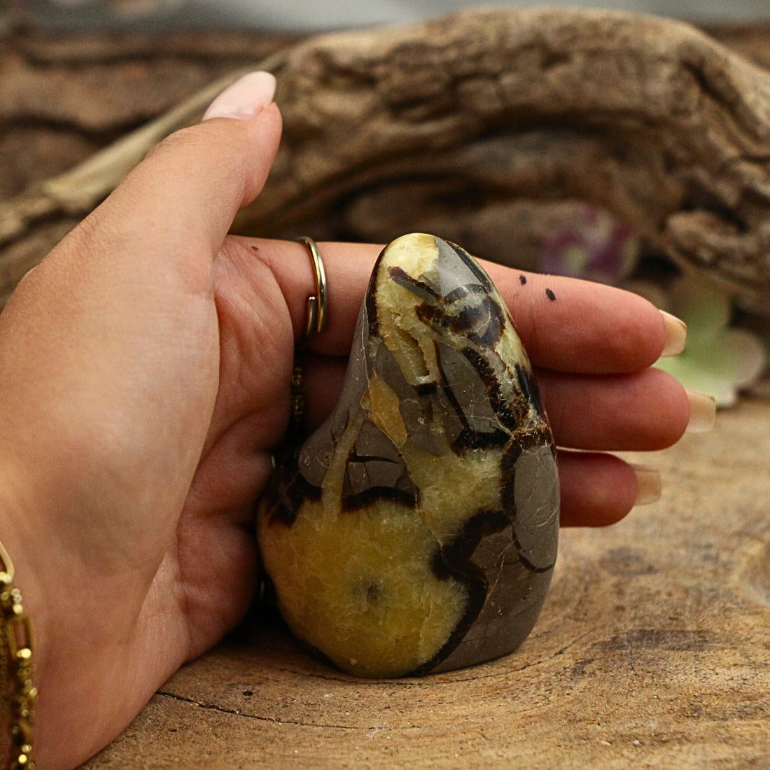 Septarie skulptur, Madagaskar, 7 x 3 x 5 cm, nr 11