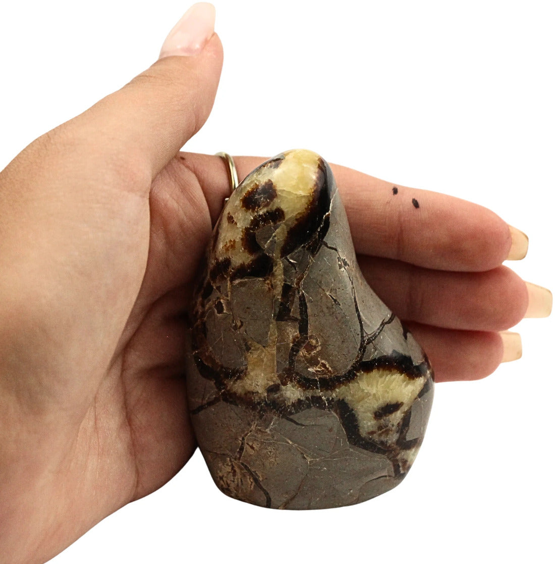 Septarie skulptur, Madagaskar, 7 x 3 x 5 cm, nr 11