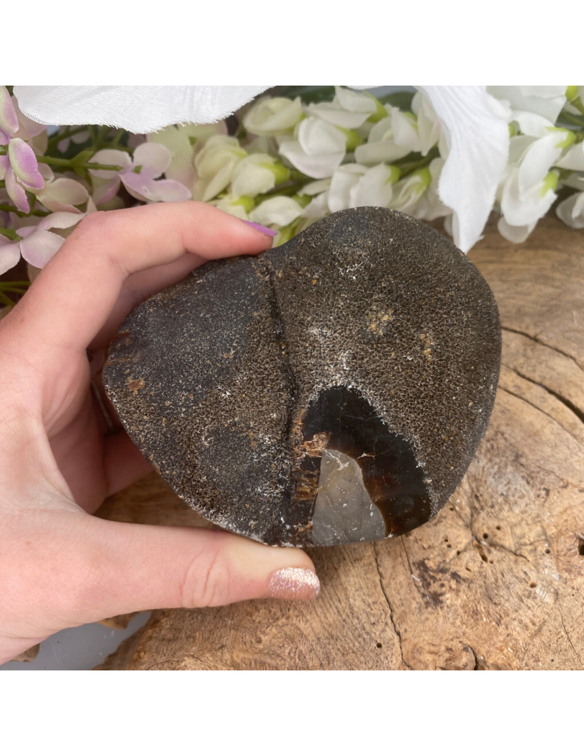 Septarie hjärta, Madagaskar, 10 cm, nr 4 (755 g)