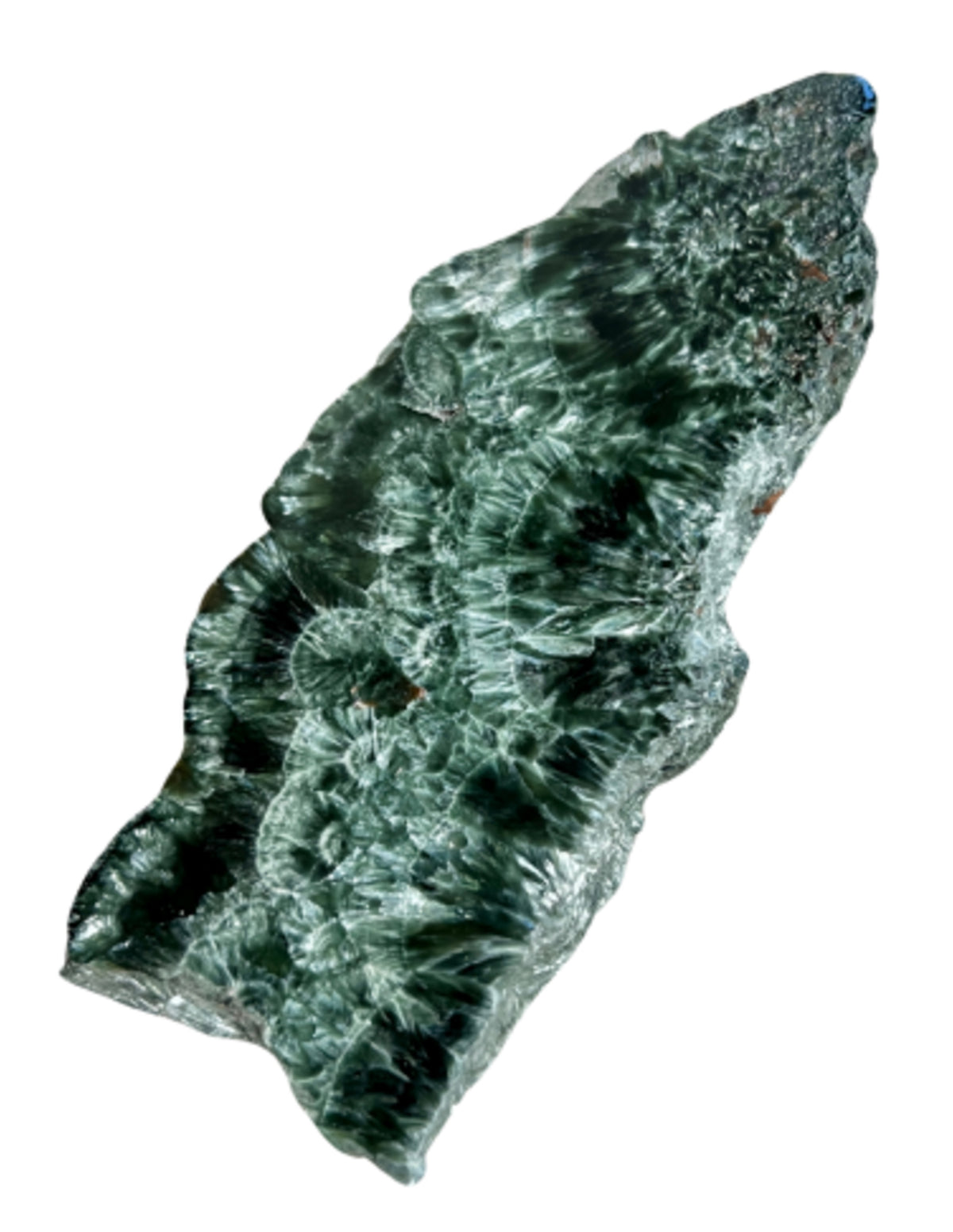 Serafinit skiva, delvis polerad, 11,5 cm, 101 g, nr 6