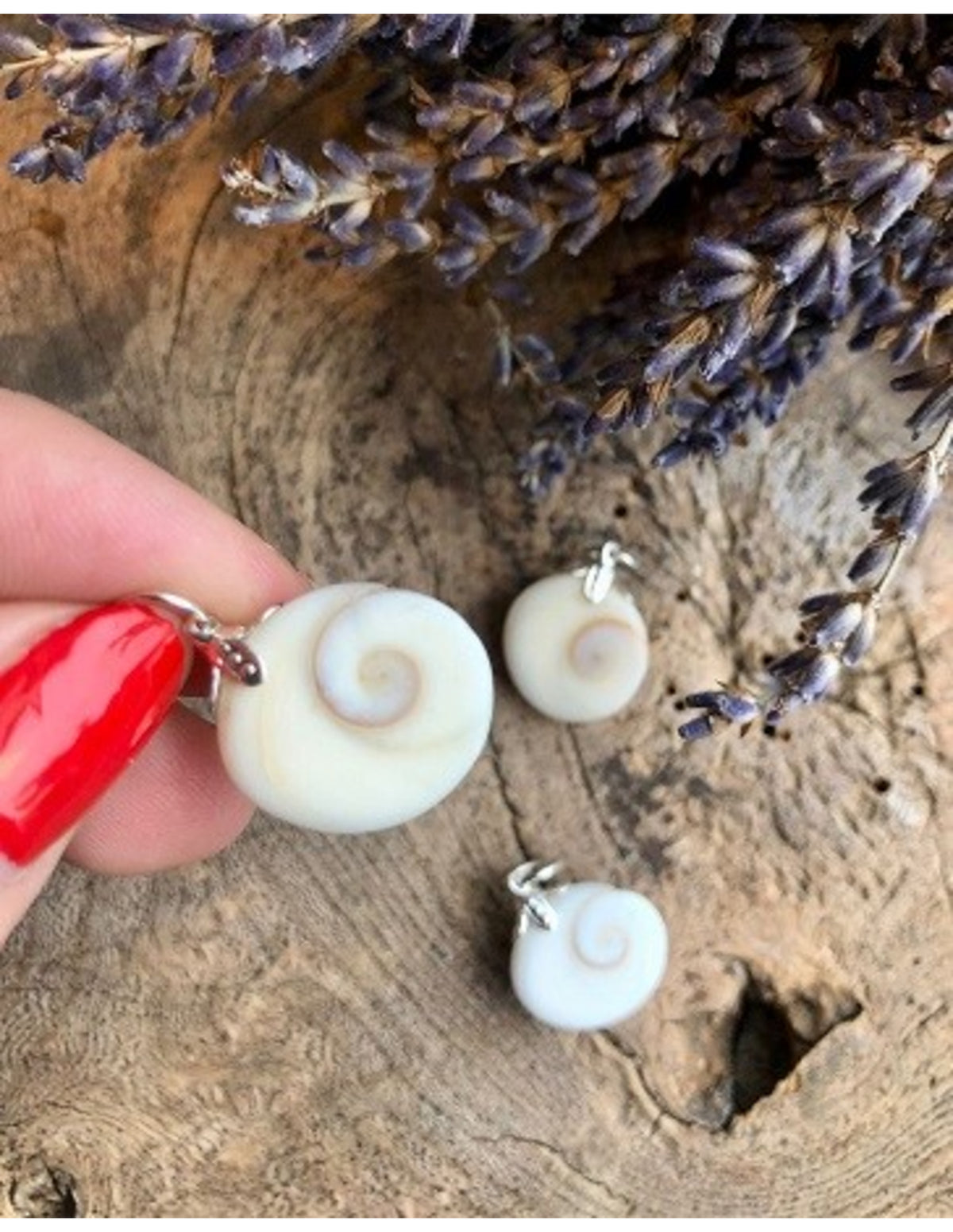 Shiva eye hänge, snäcklock med spiralmönster