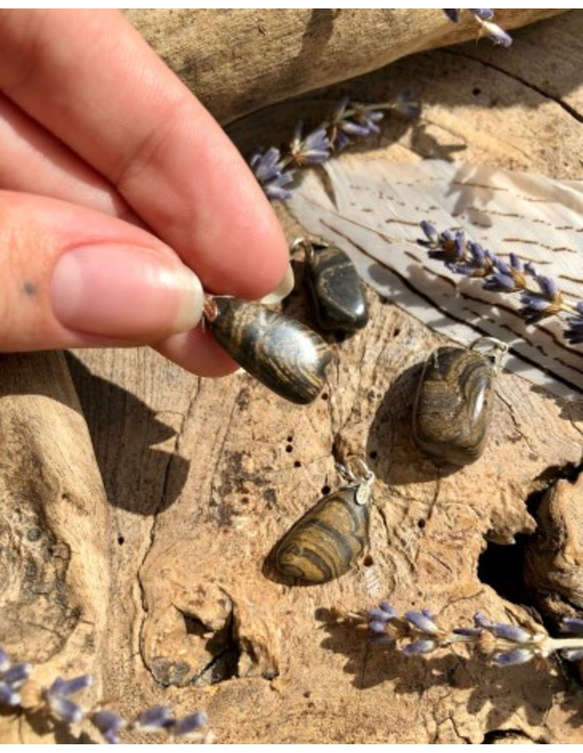 Stromatolit hänge, grågrön till svart fossil sten