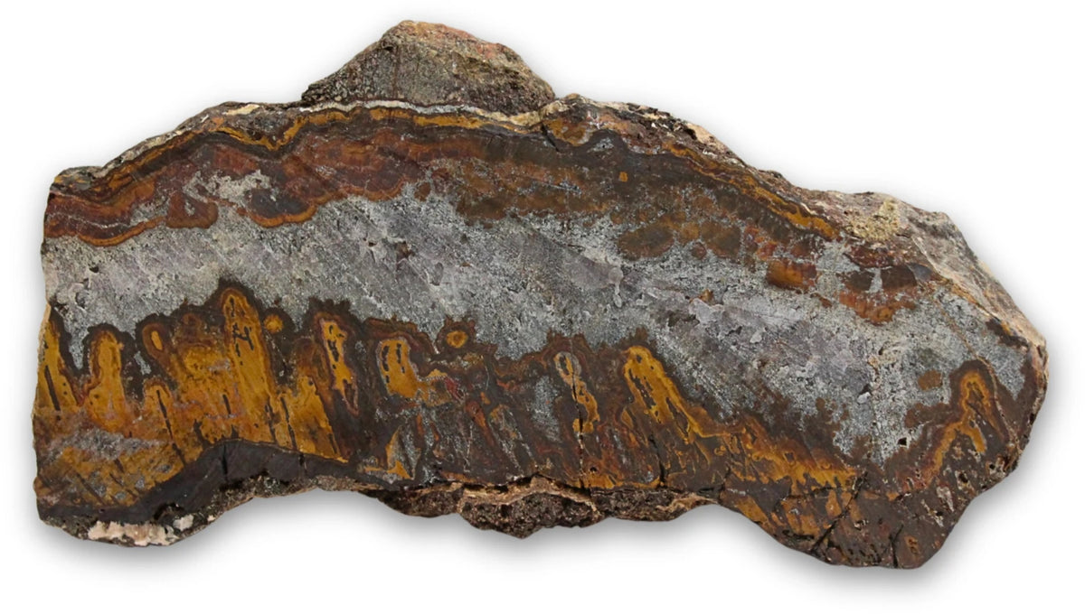 Tigerjärn skiva, polerad, ca 9 cm, nr 15