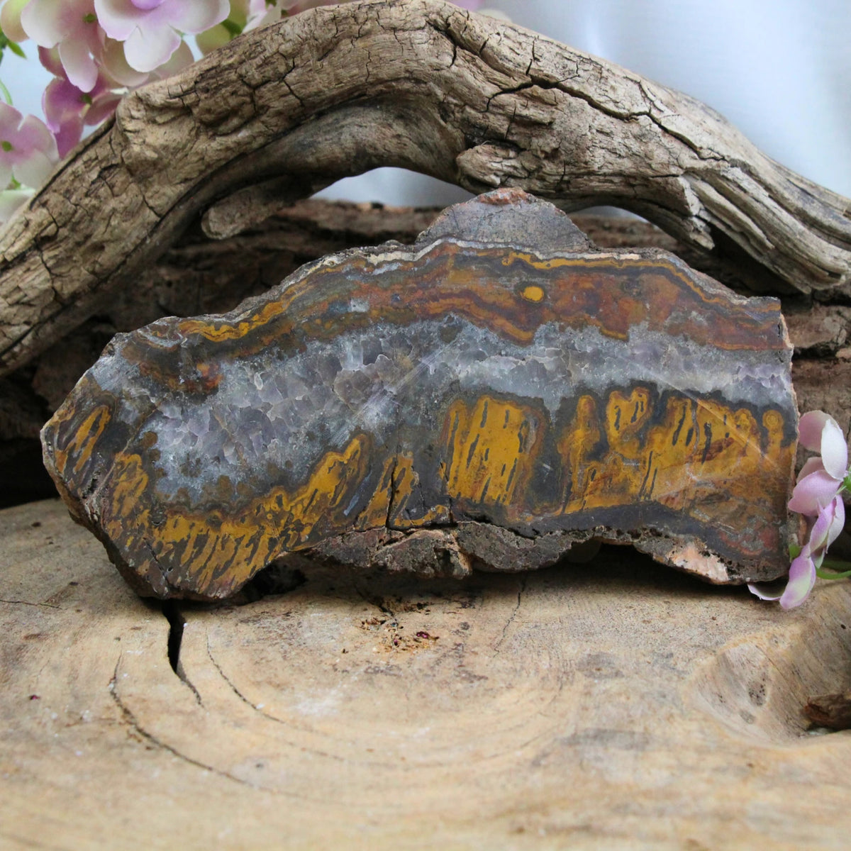 Tigerjärn skiva, polerad, ca 9 cm, nr 15