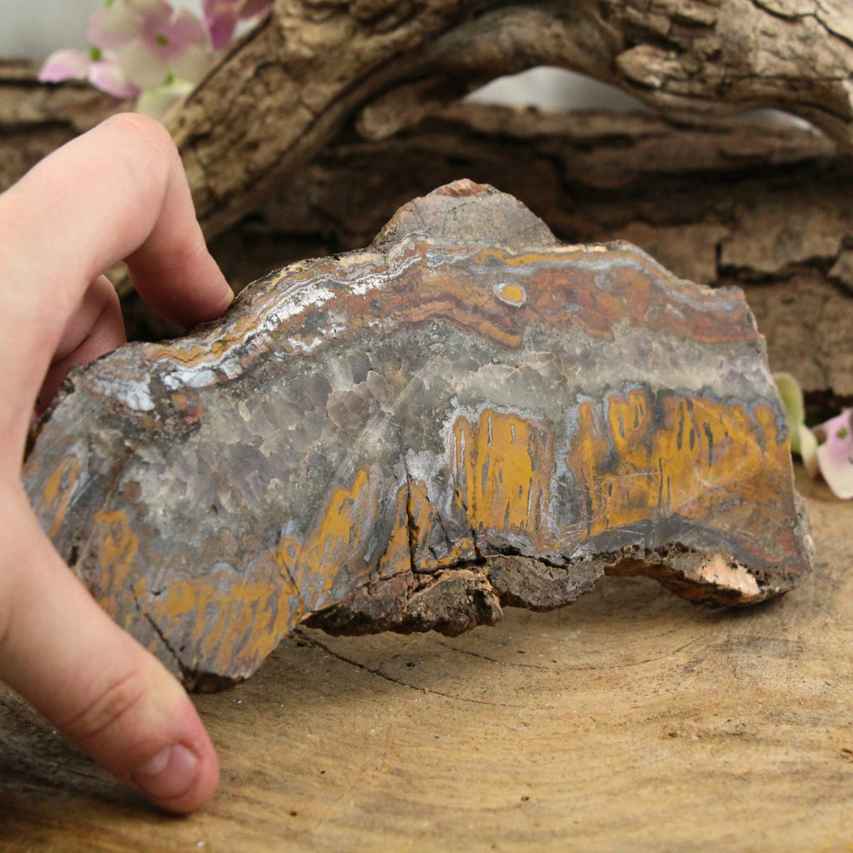 Tigerjärn skiva, polerad, ca 9 cm, nr 15
