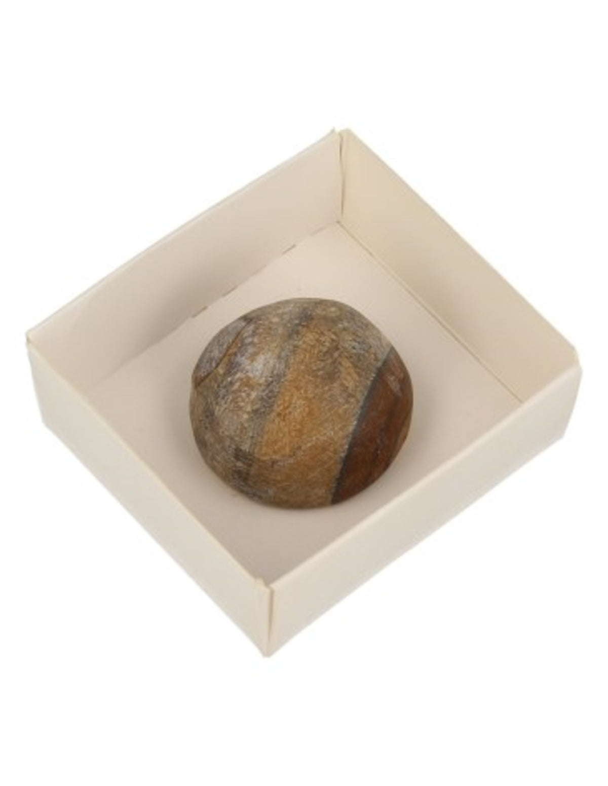 Tigeröga ägg, delvis polerat, 2 till 3 cm