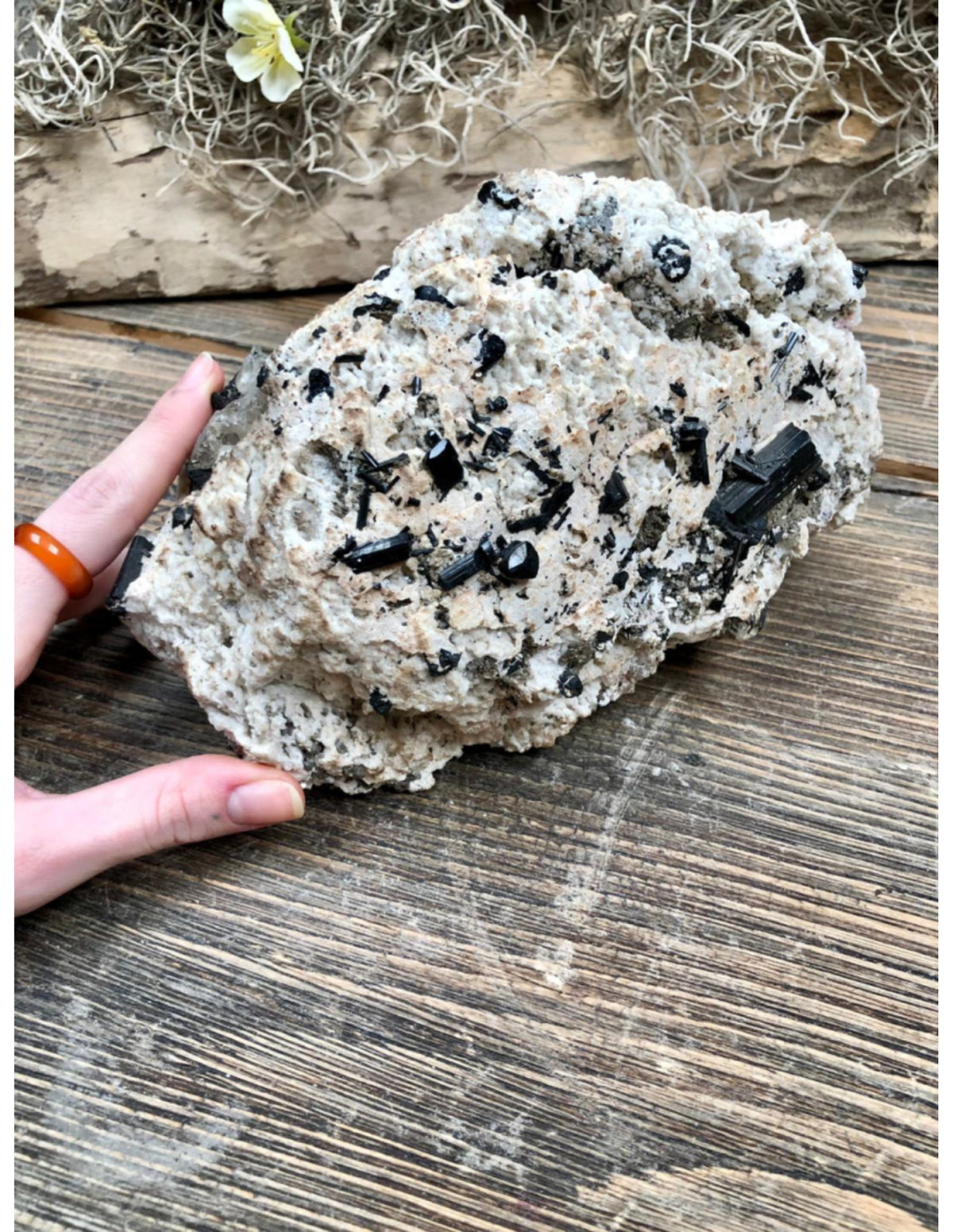 Svart turmalin med glimmer, rå, nr 6 (2,9 kg)