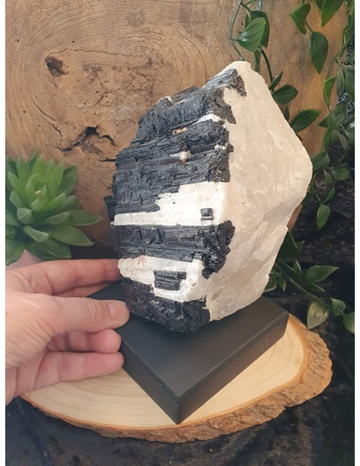 Turmalinkvarts på fot, nr 3 (2,9 kg)