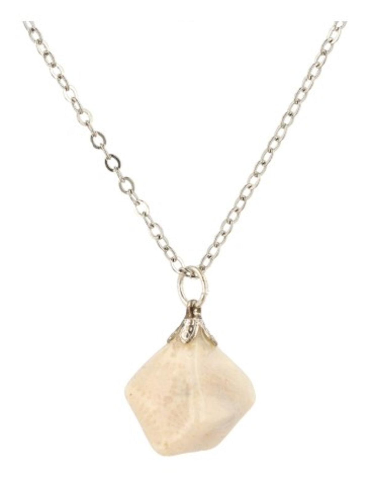 Fossil korall hänge, 3 till 5 cm, rödbrun