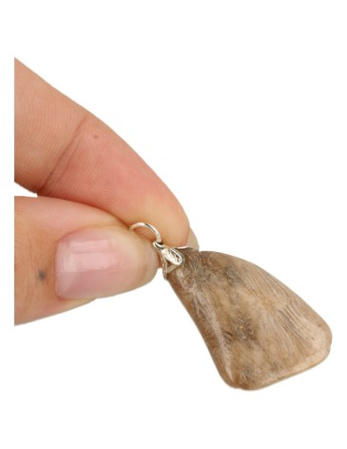Fossil korall hänge, 3 till 5 cm, rödbrun