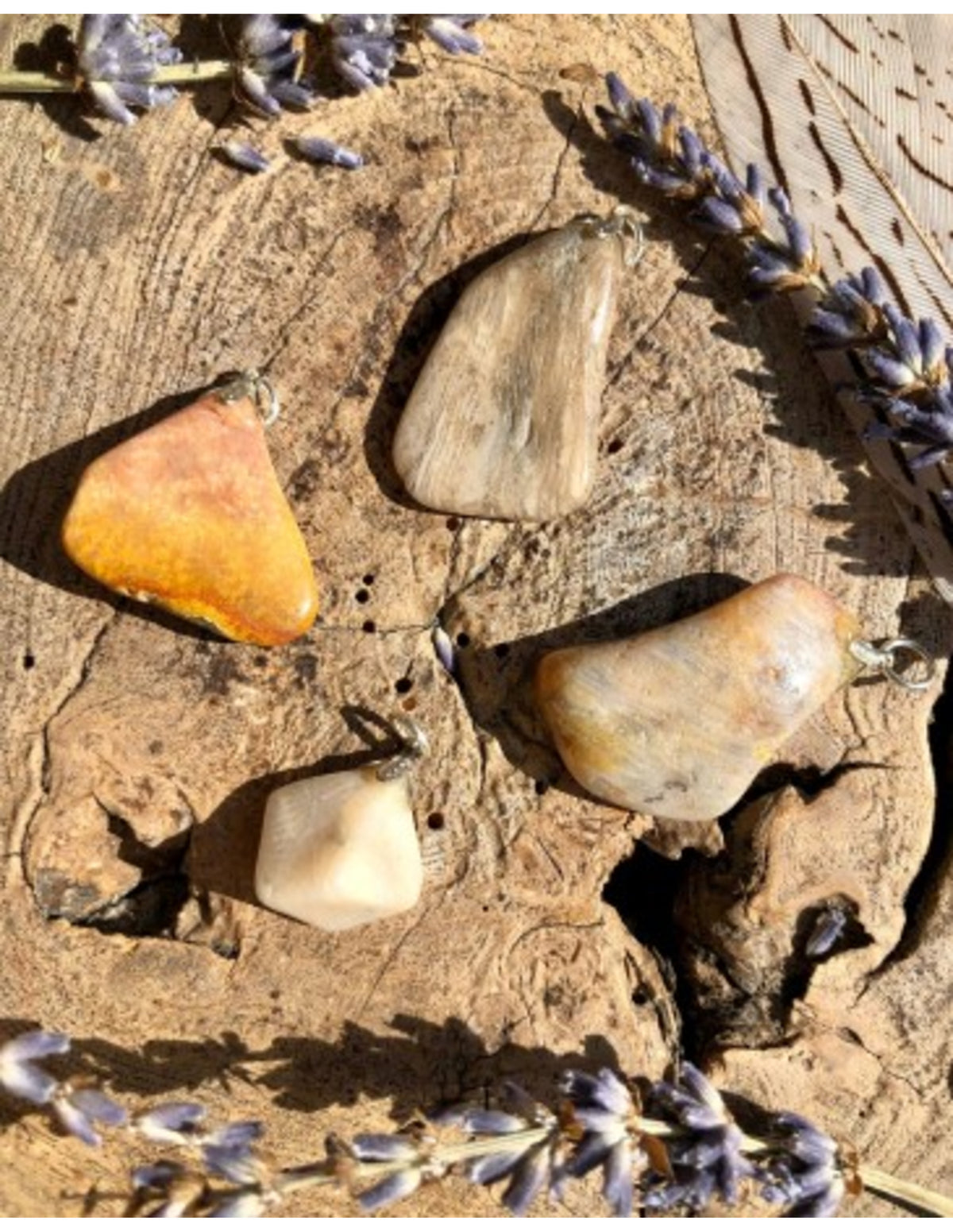 Fossil korall hänge, 3 till 5 cm, rödbrun