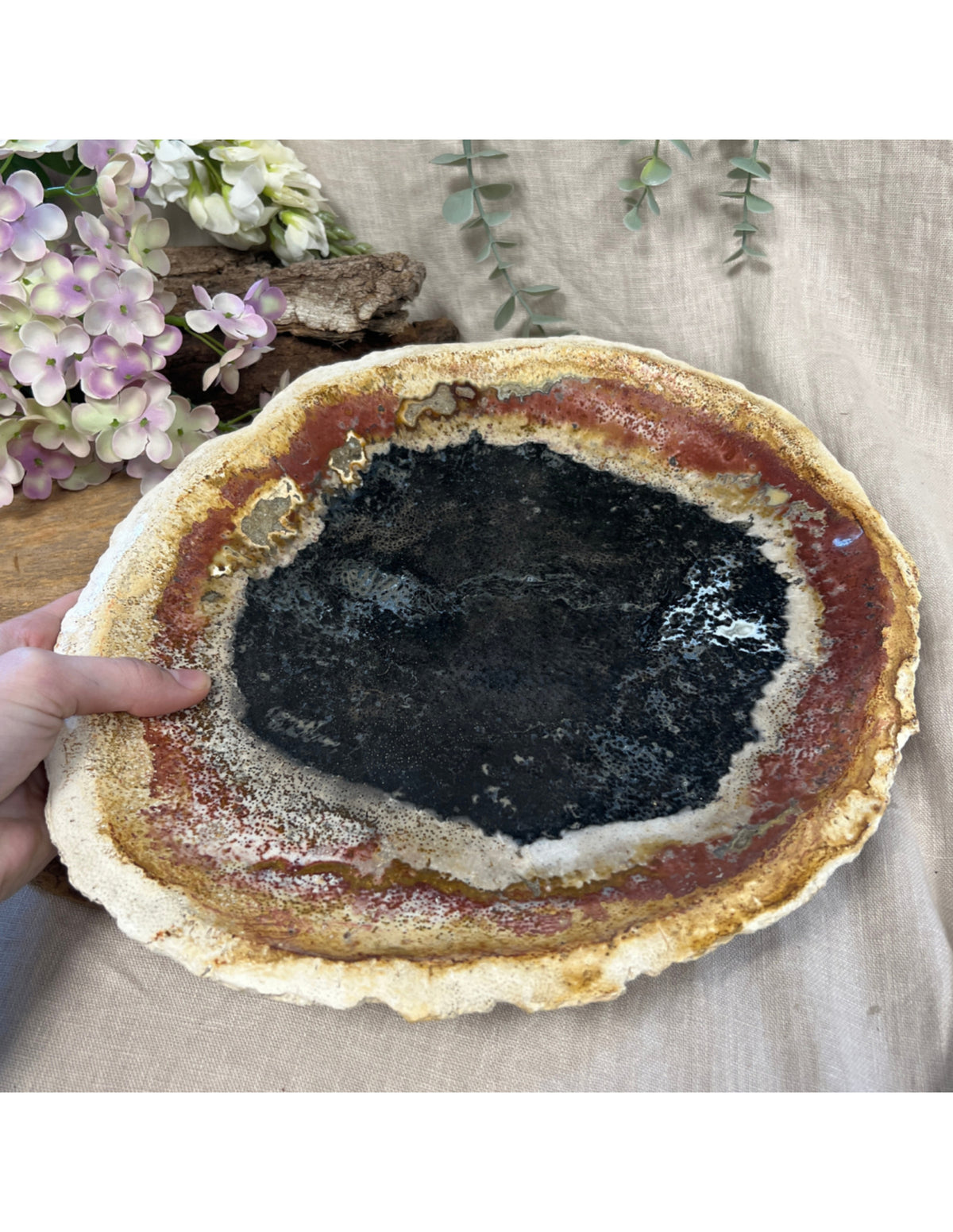 Förstenat palmträ skiva, Indonesien, 33 cm, nr 09