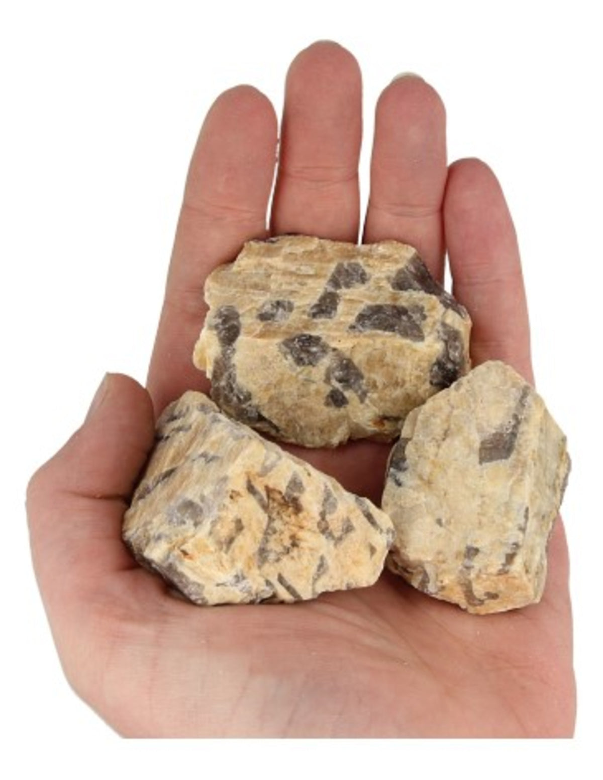 Zebradorit rå, 50 till 80 g (4 till 7 cm)