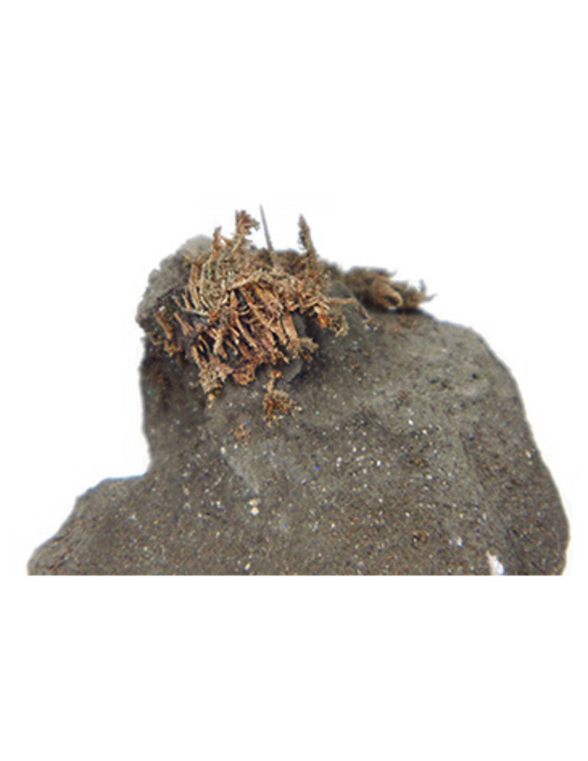 Silver från Tyskland på matrix, ca 1 cm, nr 135